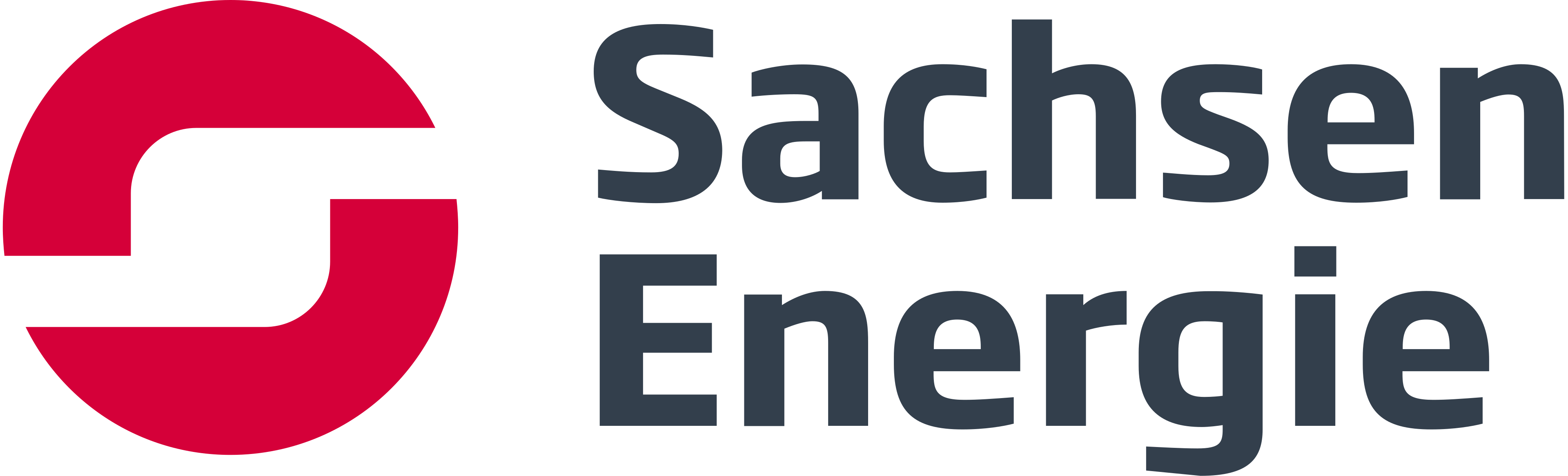 SachsenEnergie